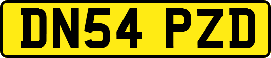 DN54PZD