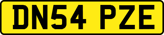DN54PZE