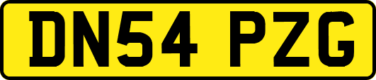 DN54PZG