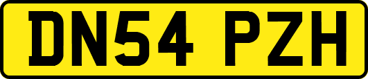 DN54PZH