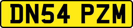 DN54PZM