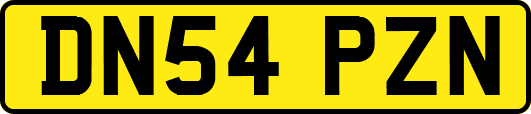 DN54PZN