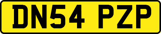 DN54PZP