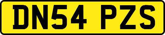 DN54PZS