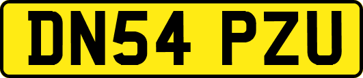 DN54PZU