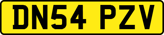 DN54PZV