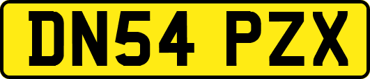 DN54PZX