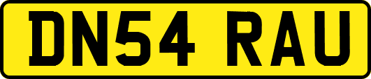 DN54RAU