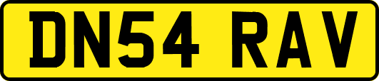 DN54RAV