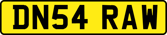 DN54RAW
