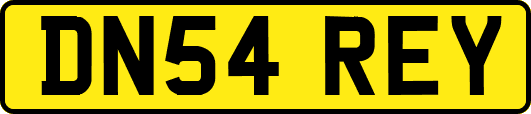 DN54REY
