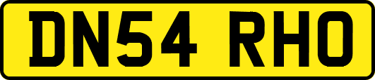 DN54RHO