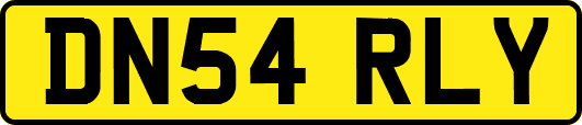 DN54RLY