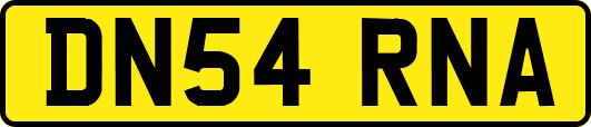 DN54RNA