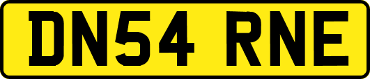 DN54RNE