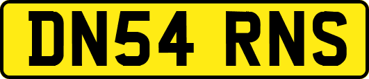 DN54RNS