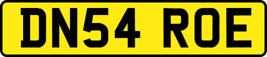 DN54ROE