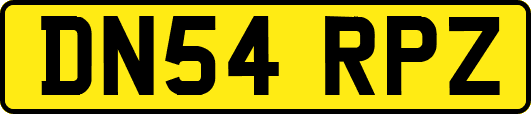 DN54RPZ