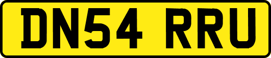 DN54RRU