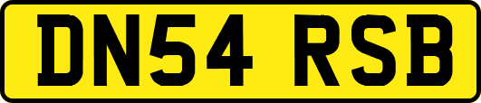 DN54RSB