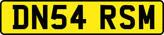 DN54RSM