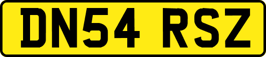 DN54RSZ
