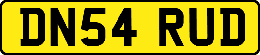 DN54RUD
