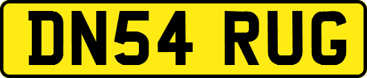 DN54RUG