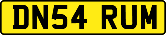 DN54RUM