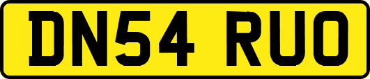 DN54RUO