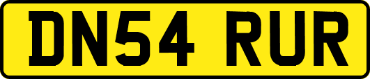 DN54RUR