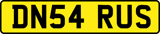 DN54RUS