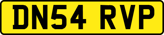DN54RVP