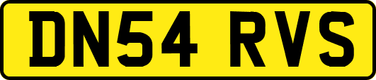 DN54RVS
