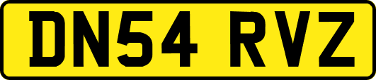 DN54RVZ