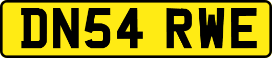 DN54RWE