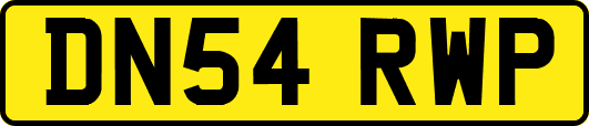 DN54RWP
