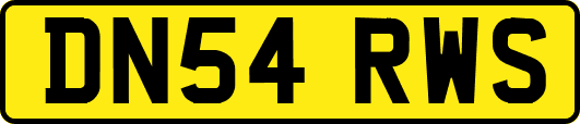 DN54RWS
