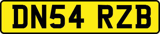 DN54RZB