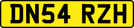 DN54RZH
