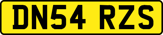 DN54RZS
