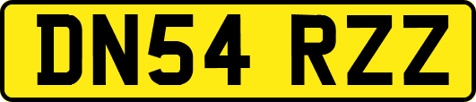 DN54RZZ