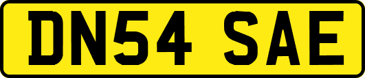 DN54SAE