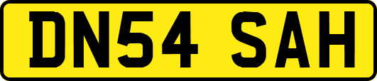 DN54SAH
