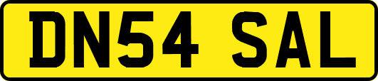 DN54SAL