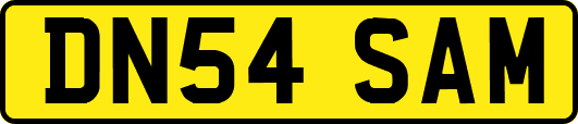 DN54SAM