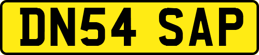 DN54SAP