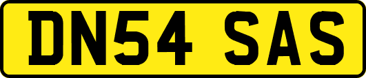 DN54SAS