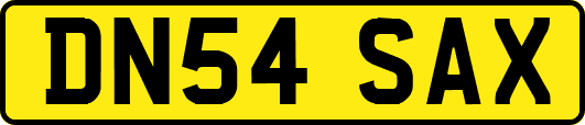 DN54SAX