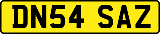 DN54SAZ